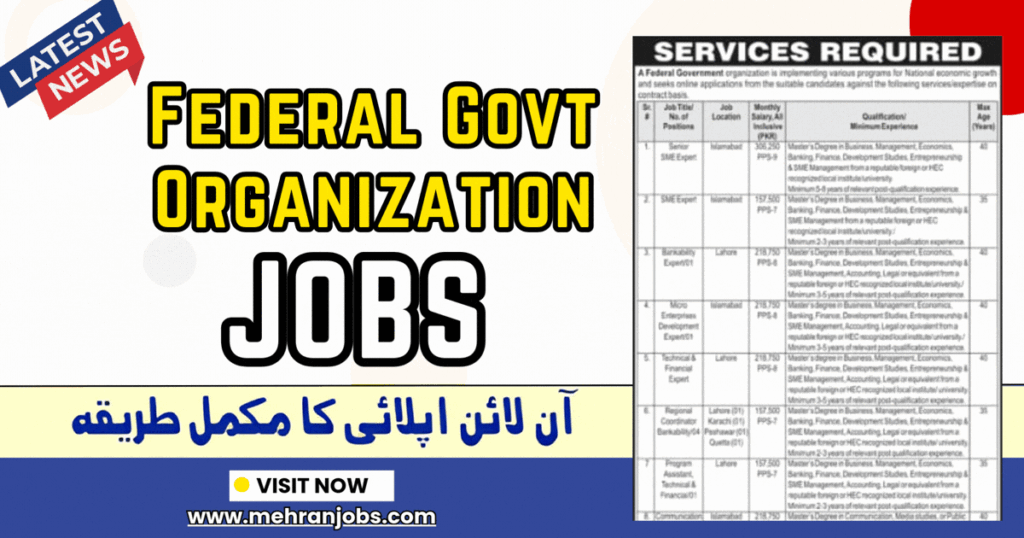 Federal Government Consulting Organization Jobs