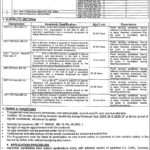STI Jobs 2026 Gujrat Special Education