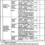 STI Jobs 2026 Lodhran Special Education