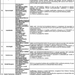 PPHI Sindh Jobs May 2026 – Social Organizer, HR Assistant & More