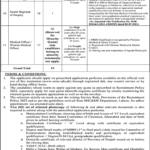 Sheikh Zayed Medical College & Hospital Rahim Yar Khan Jobs May 2026