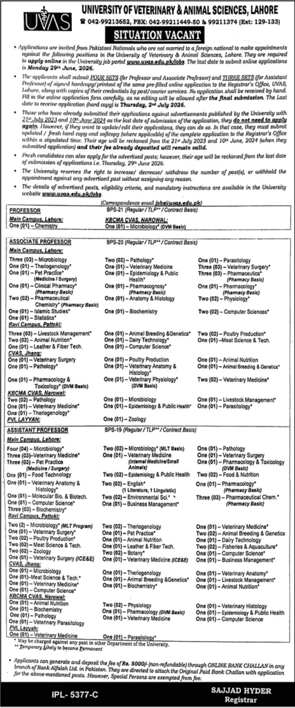 University of Veterinary & Animal Sciences UVAS Jobs 2026 for Teaching Faculty