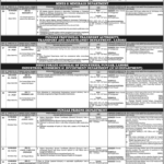 Child Protection Officer Jobs 2026 in Child Protection & Welfare Bureau Punjab