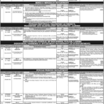 TEPA LDA Sub Engineer Jobs 2026 – Traffic Engineering and Transport Planning Agency (TEPA) LDA Through PPSC
