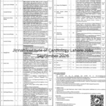 Jinnah Institute of Cardiology Lahore Jobs September 2026