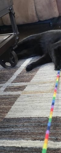 FB_IMG_1769369901188